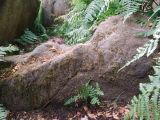 The Bridestones (Cheshire) - PID:260001