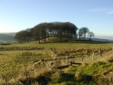 Clulow Cross - PID:244349
