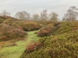 Maiden Castle (Cheshire) - PID:220774