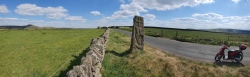 The Plague Stone - PID:212561