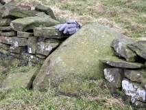 Toot Hill recumbent stone