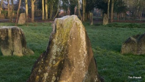 Parkfields Park Stone Circle