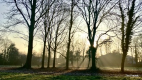 Parkfields Park Stone Circle