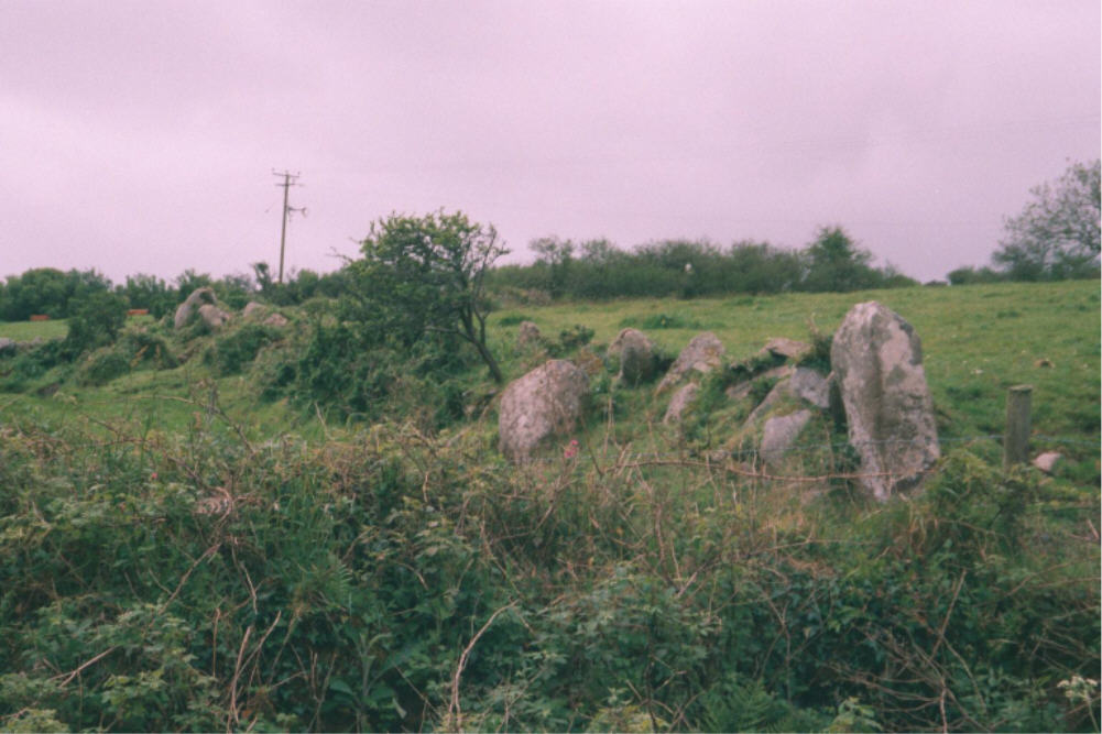Tredinnick