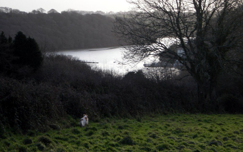 Malpas Tumulus