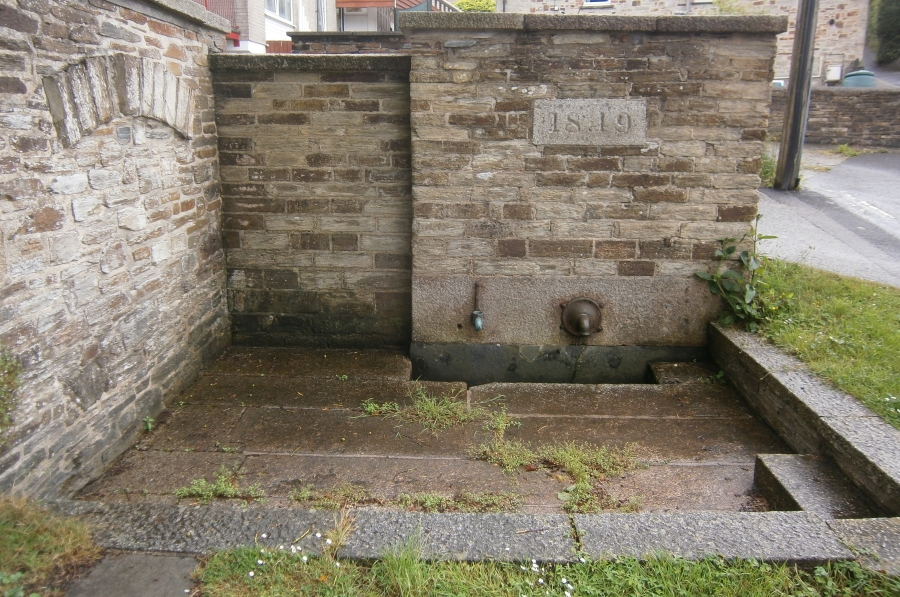 Cocks Well