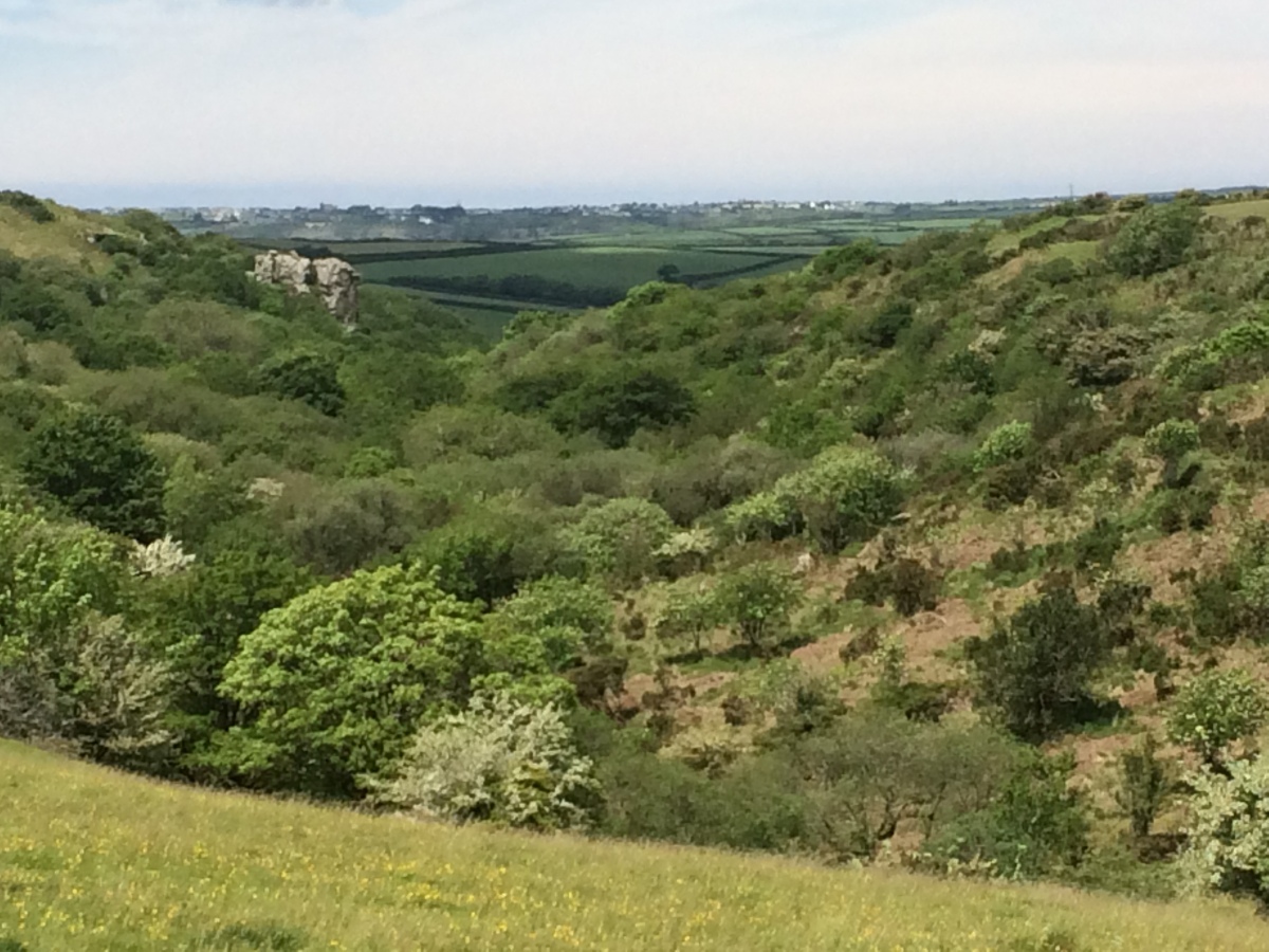 Devil's Jump (St Breward)