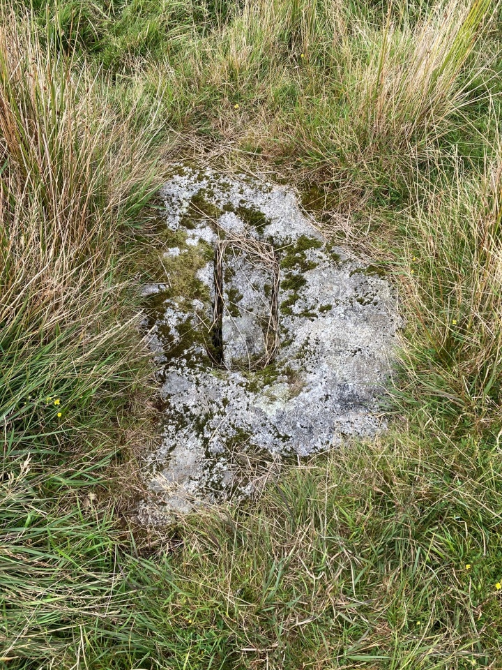 Click for the gallery page to add comments and vote (PID:249251) King Arthur's Downs Cross