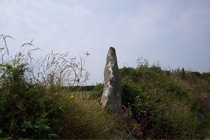 Boscawen-Un Hedge