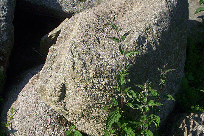 Click for the gallery page to add comments and vote (PID:47882) Carwynnen Quoit