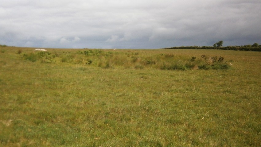 Twelve men's moor cairn and cist