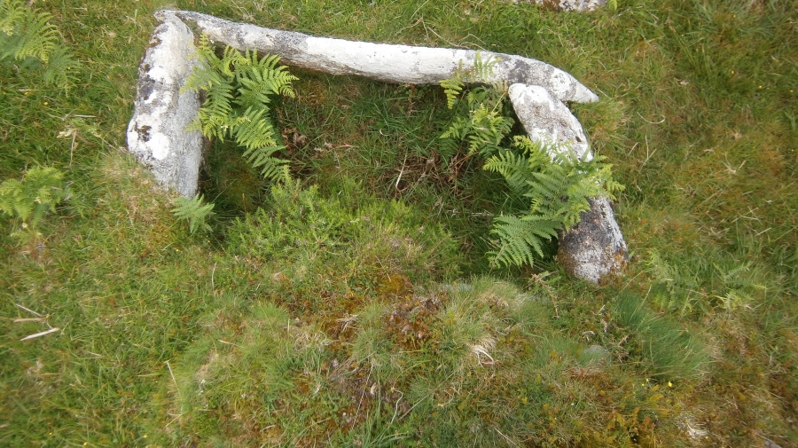 Twelve men's moor cairn and cist