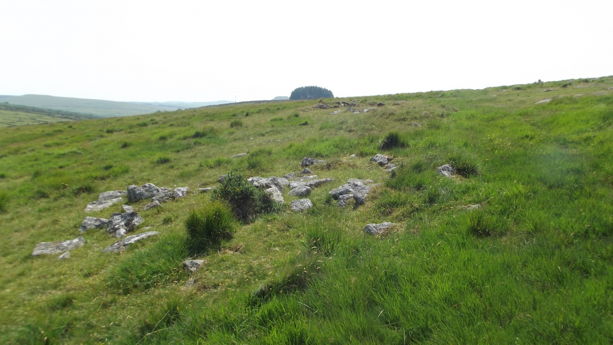 Click for the gallery page to add comments and vote (PID:244876) Roughtor East Cairn Group
