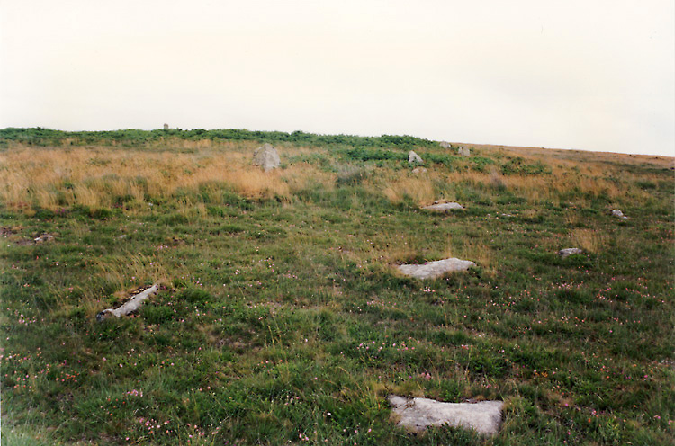 Porthmeor Circle