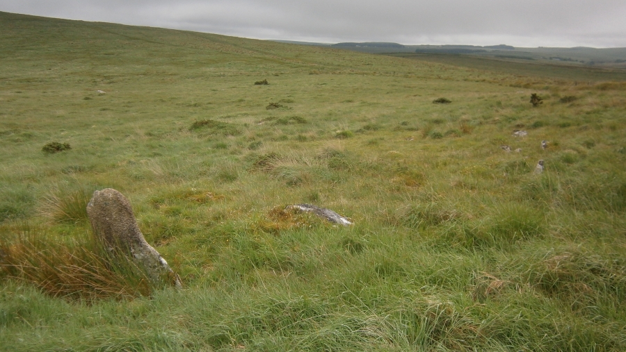 Catshole Downs long cairn