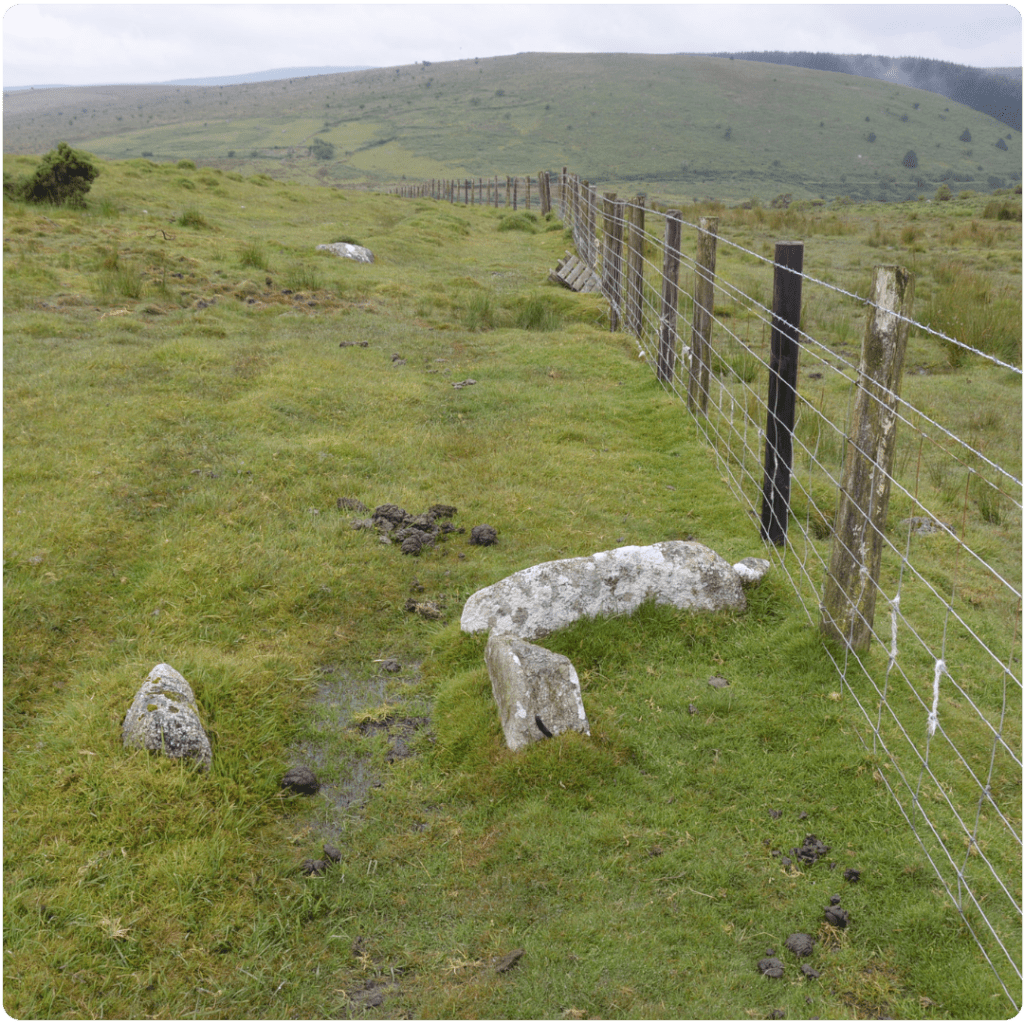 Wardbrook Farm Cist