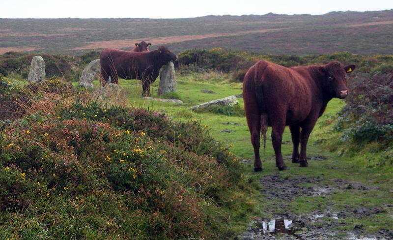 Men-An-Tol