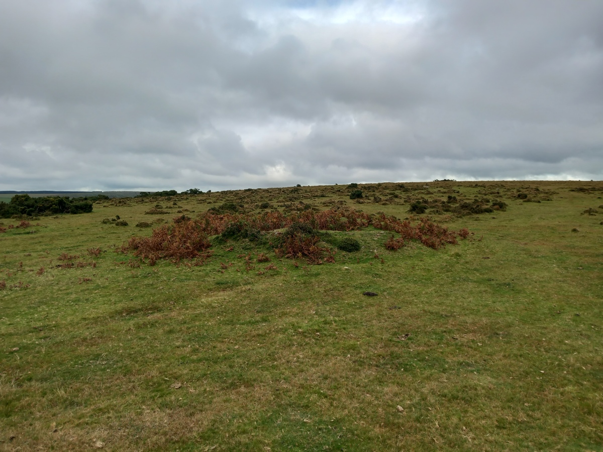 Click for the gallery page to add comments and vote (PID:250183) Craddock Moor Cairn Cemetery