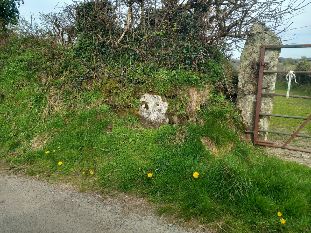 Click for the gallery page to add comments and vote (PID:256596) Altarnun Cross B