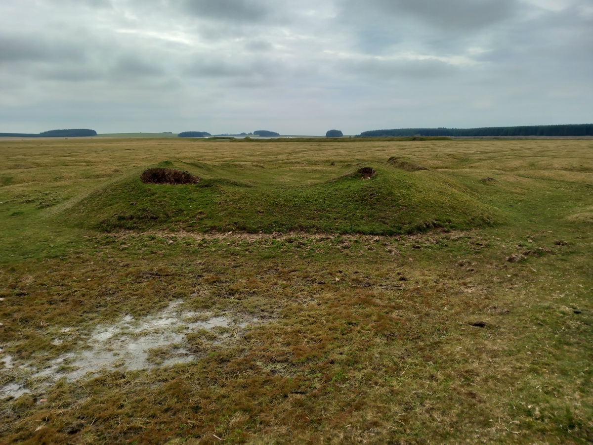 Click for the gallery page to add comments and vote (PID:256601) Davidstow Moor Barrow
