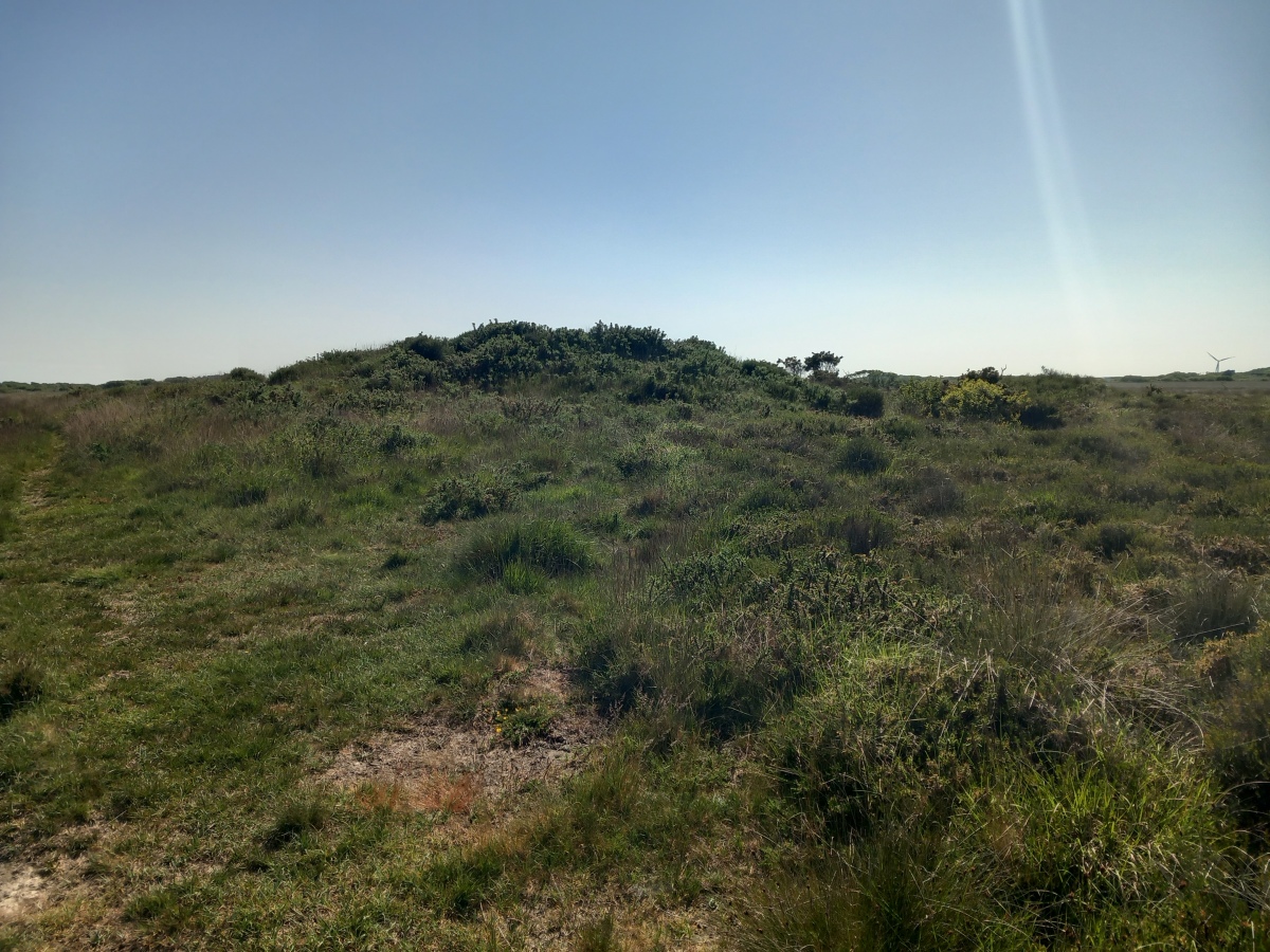 Click for the gallery page to add comments and vote (PID:259322) Traboe Barrow Cemetery