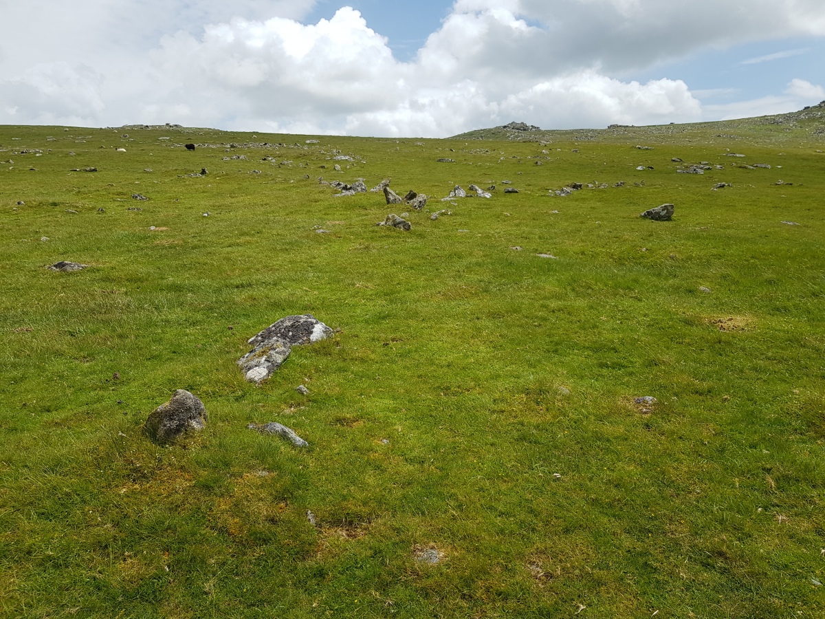 Click for the gallery page to add comments and vote (PID:274573) Showery Tor Northwest enclosure 3