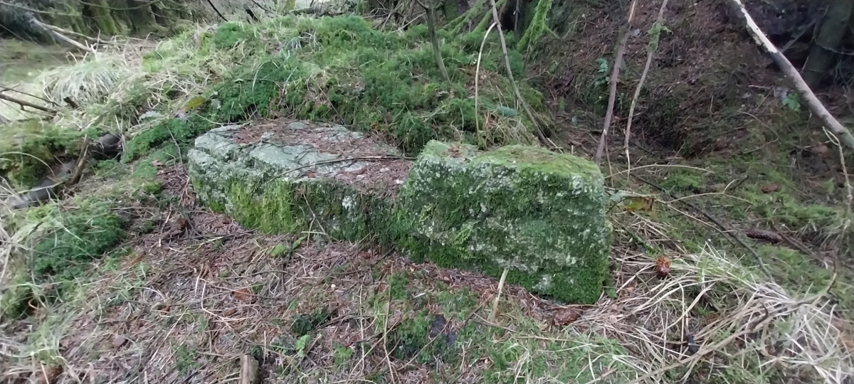 Halvana Moor Cross