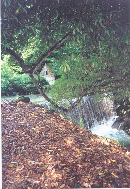 Click for the gallery page to add comments and vote (PID:6019) Menacuddle
