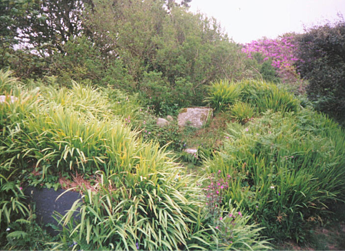 Click for the gallery page to add comments and vote (PID:14400) Sancreed Well