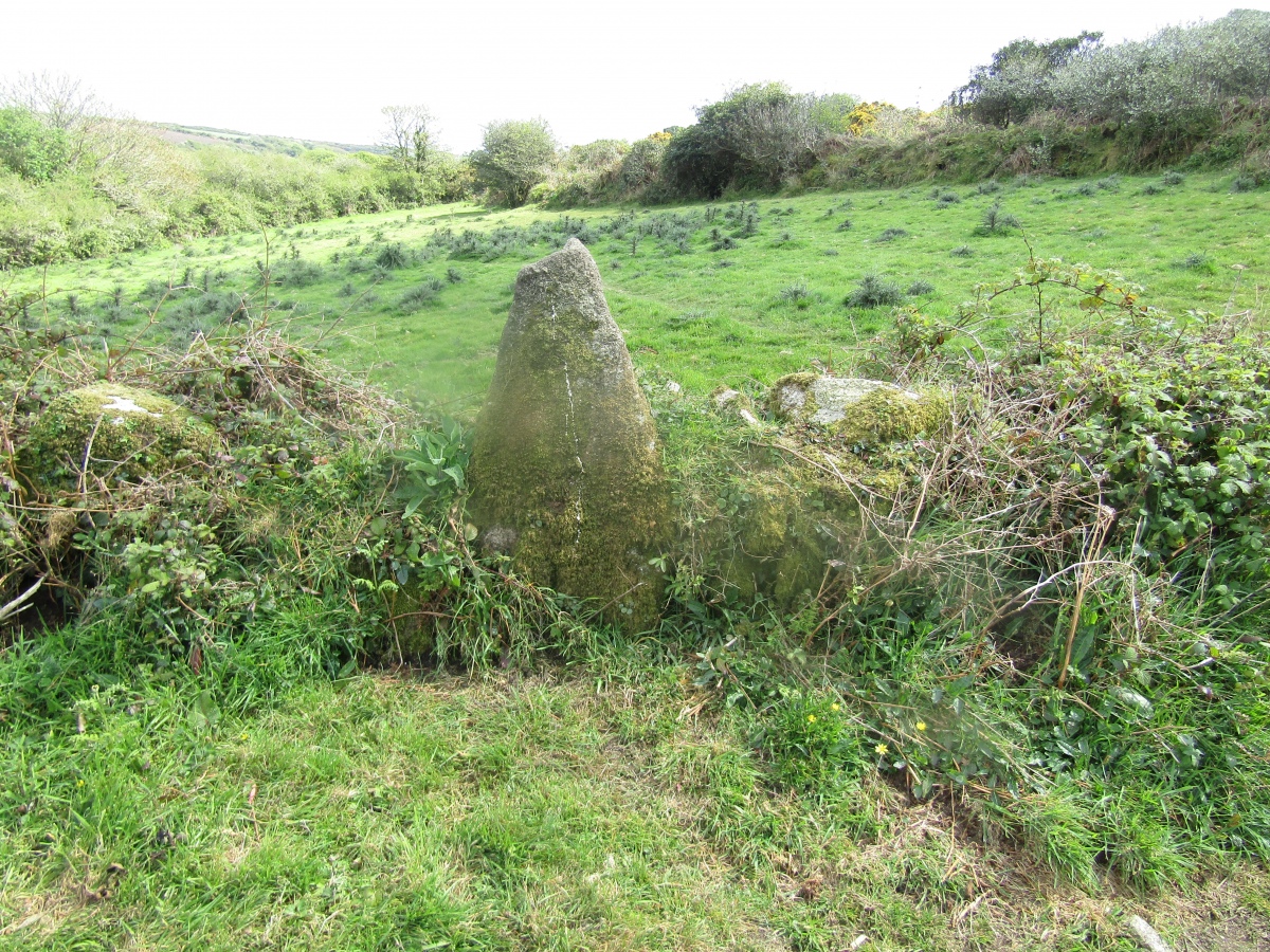 Carfury E Standing Stone