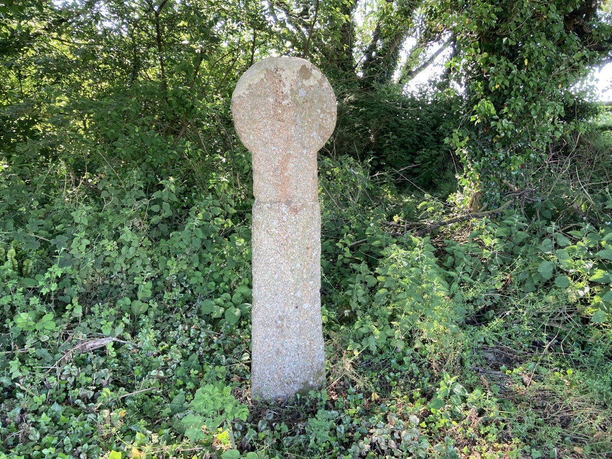 Click for the gallery page to add comments and vote (PID:259585) Longstone Cross