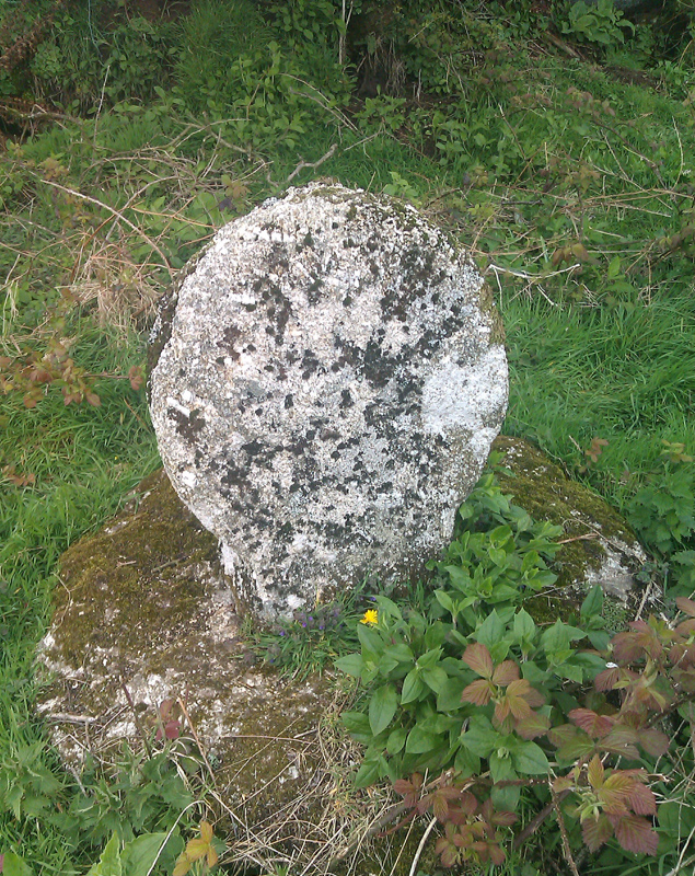 Trethew Cross, Lanlivery