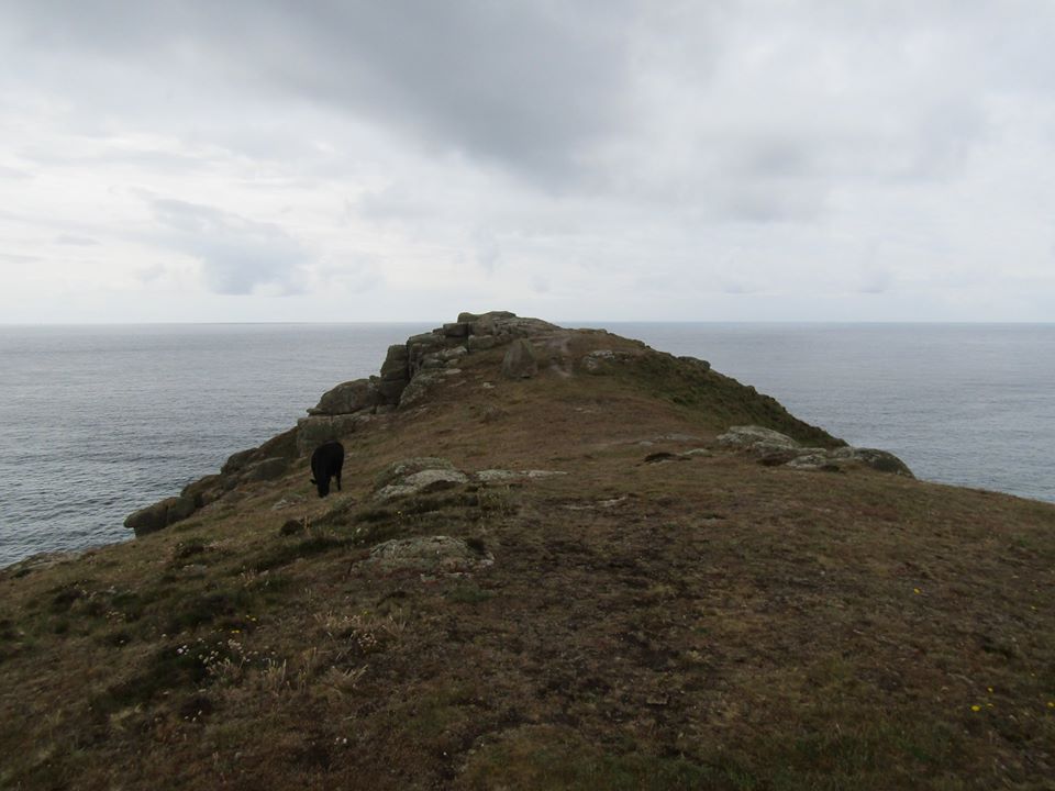 Click for the gallery page to add comments and vote (PID:210683) Carn Lês Boel