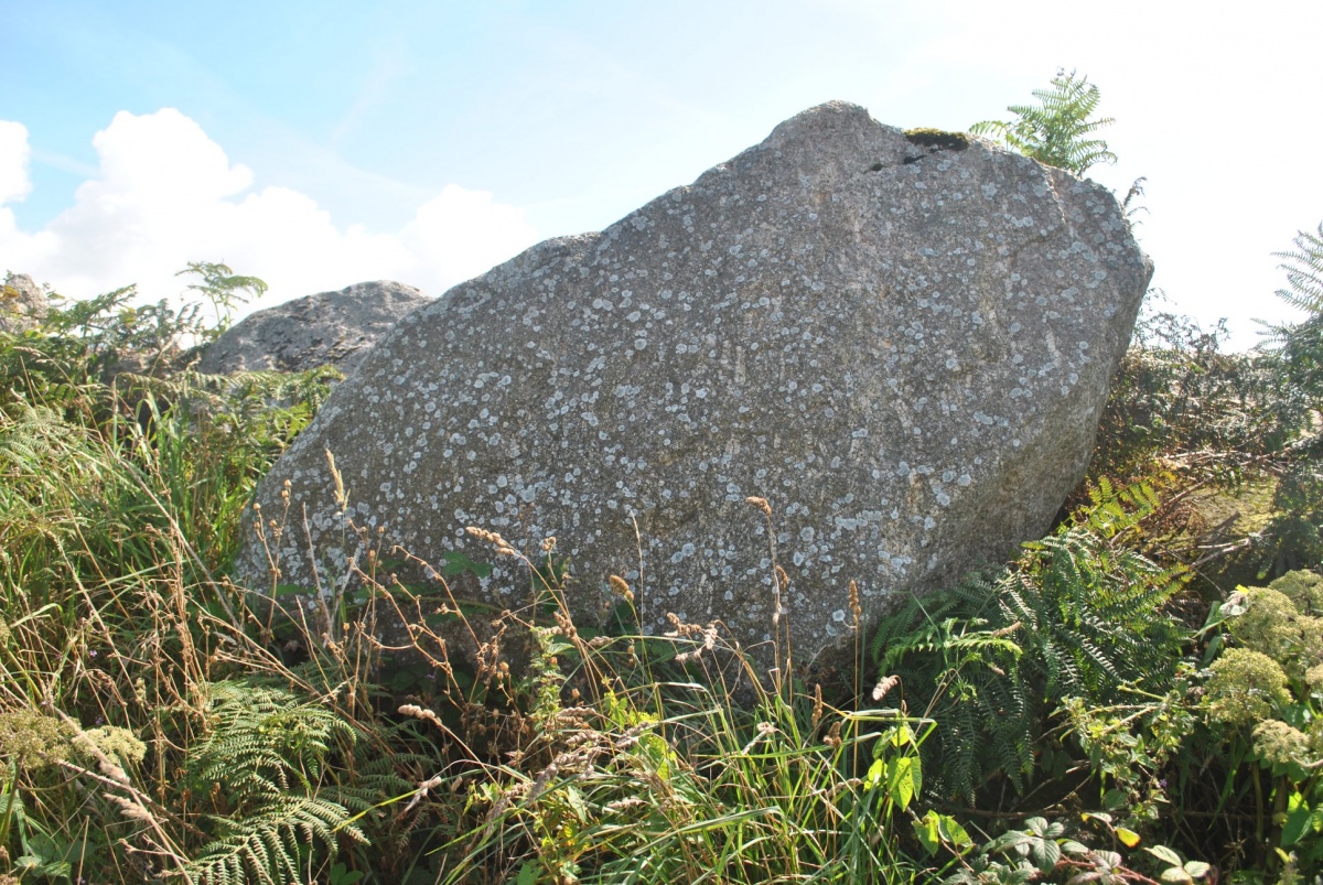 Woon Gumpus Menhirs