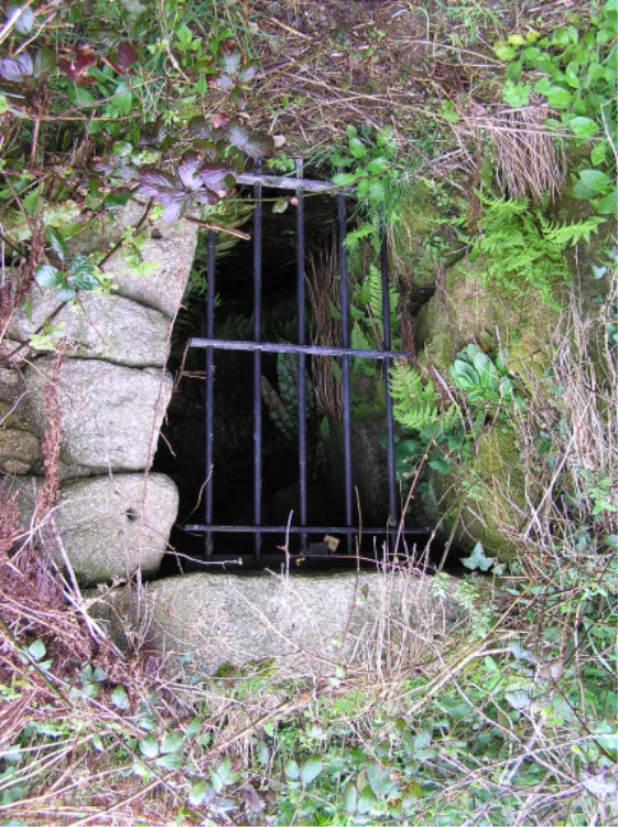 Figgy Dowdy's Well