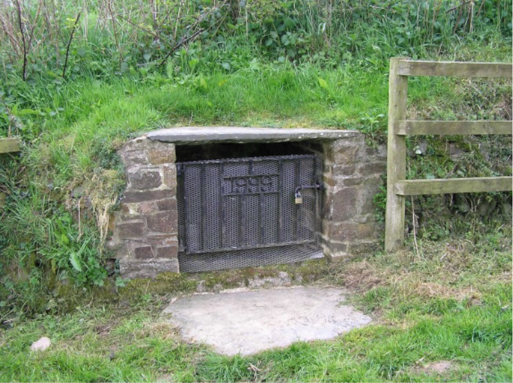 St Paternus's Well