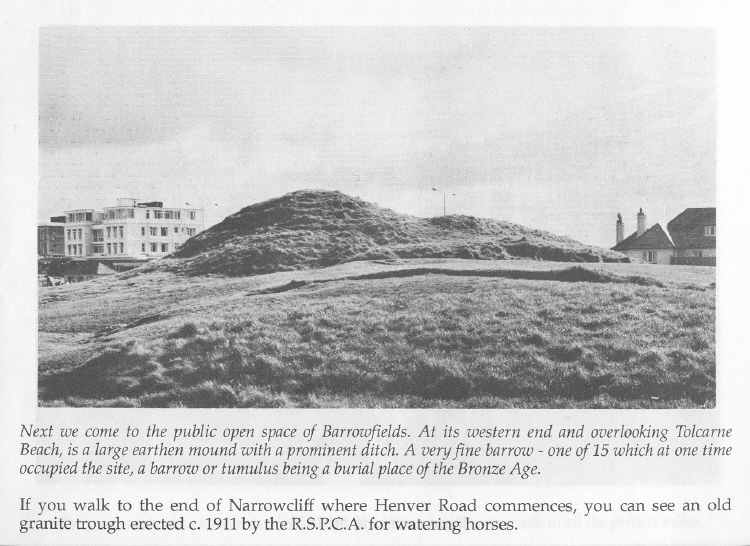 Click for the gallery page to add comments and vote (PID:100712) Barrowfields