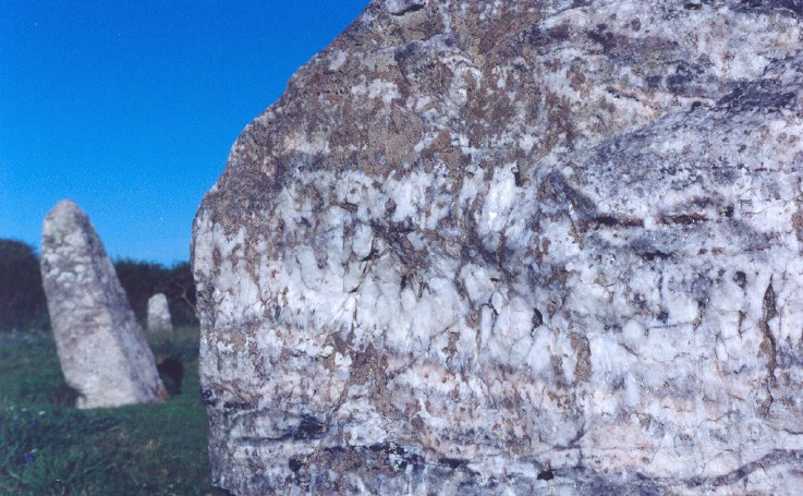 How Casino Games Take Inspiration From Nature