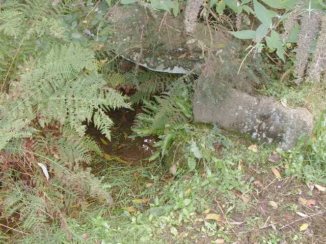 Click for the gallery page to add comments and vote (PID:9580) St Euny's Well (Carn Brea)