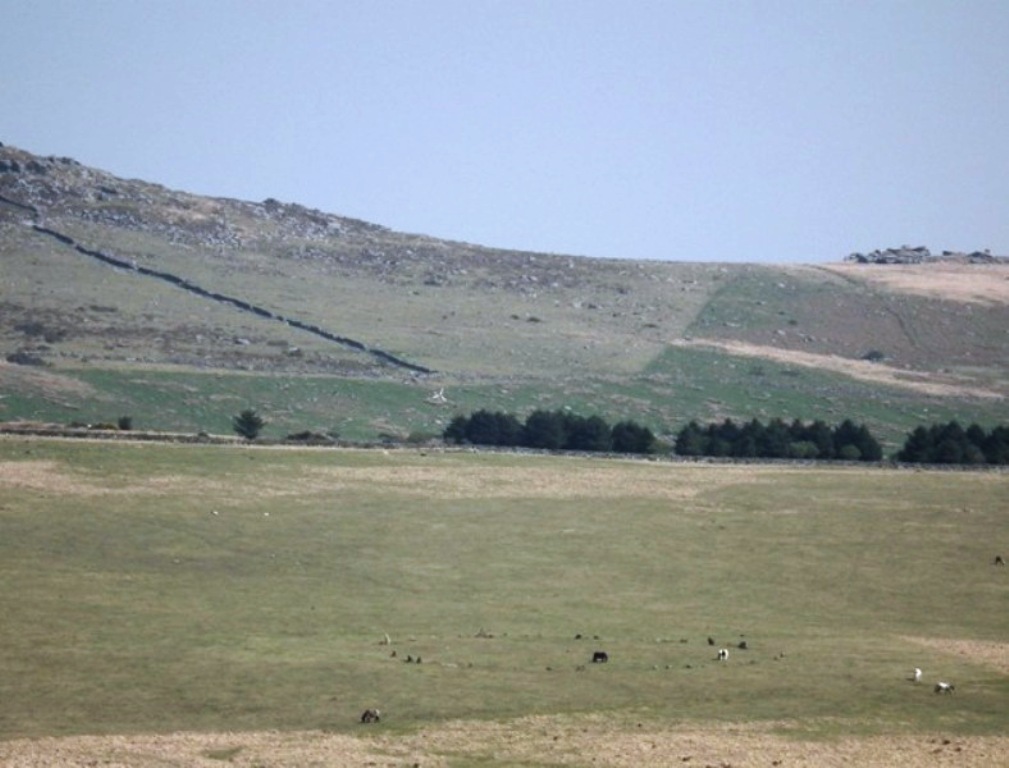 Fernacre