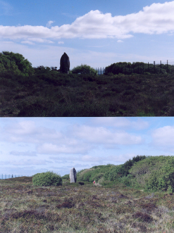 Click for the gallery page to add comments and vote (PID:30339) Dry Tree Menhir