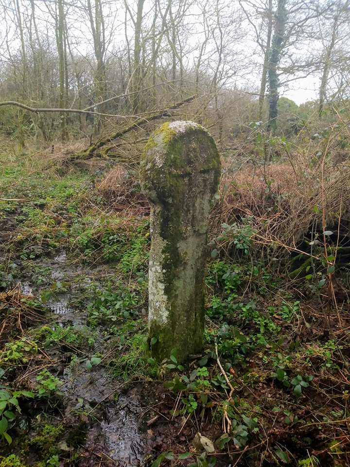 Click for the gallery page to add comments and vote (PID:209571) Trevease Cross
