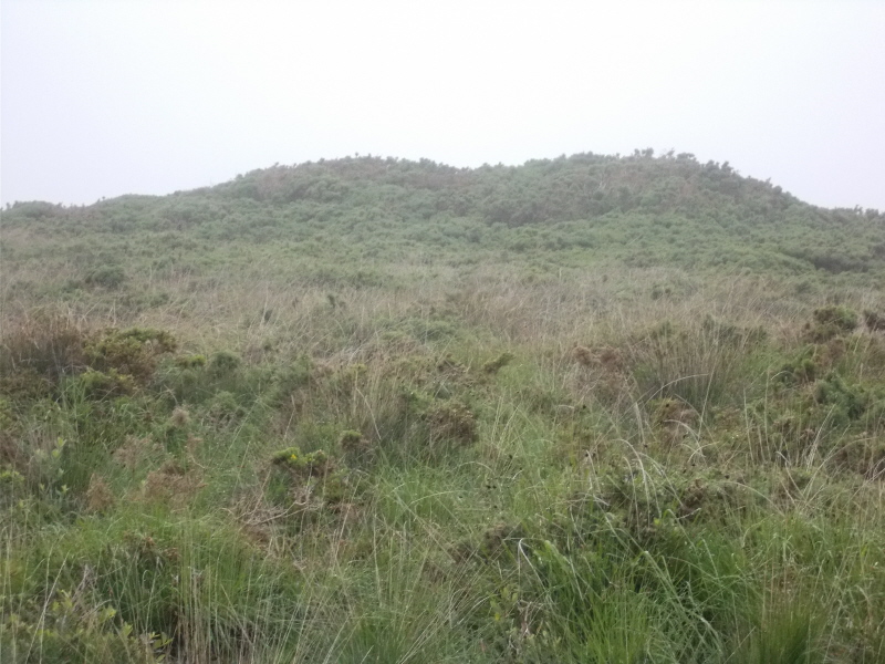 Click for the gallery page to add comments and vote (PID:152856) The Lizard National Nature Reserve Tumulus