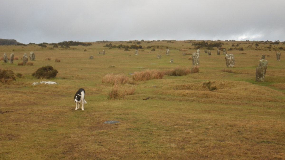 The Hurlers (S)