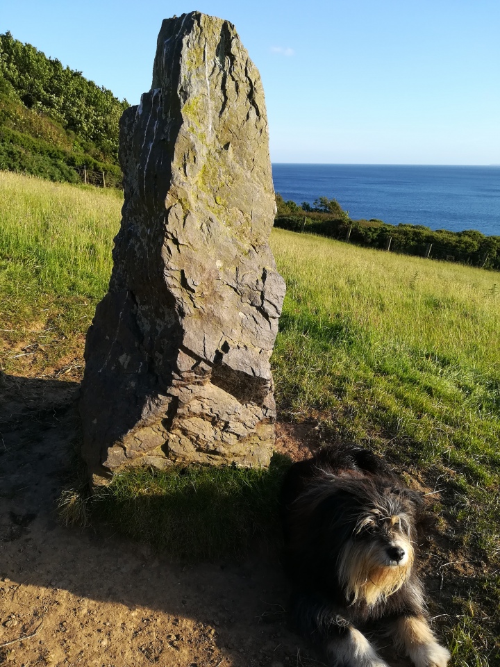 Click for full size image of Standing Stone to the East of Porthluney Bay (PID:274325) Standing Stone to the East of Porthluney Bay