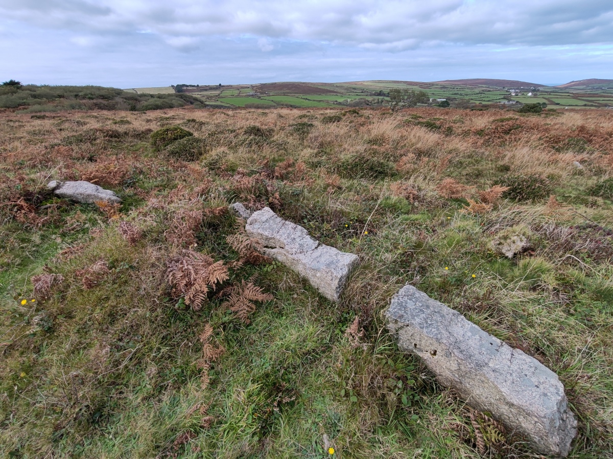 Tonkins Downs