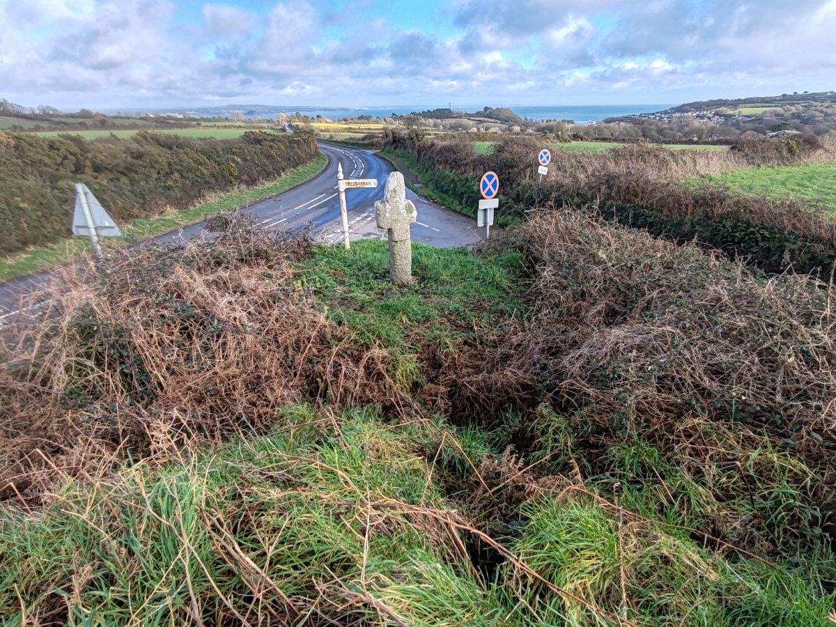 Tremethick Cross