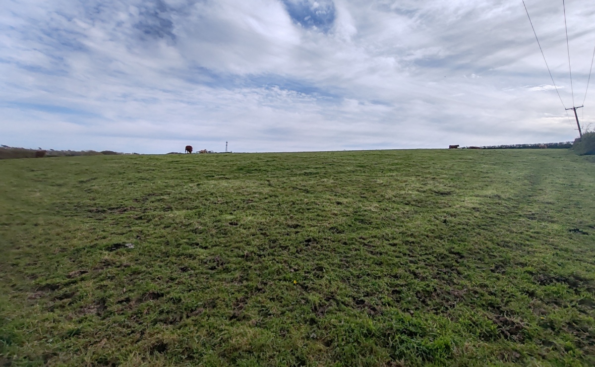 Newham Barton Round
