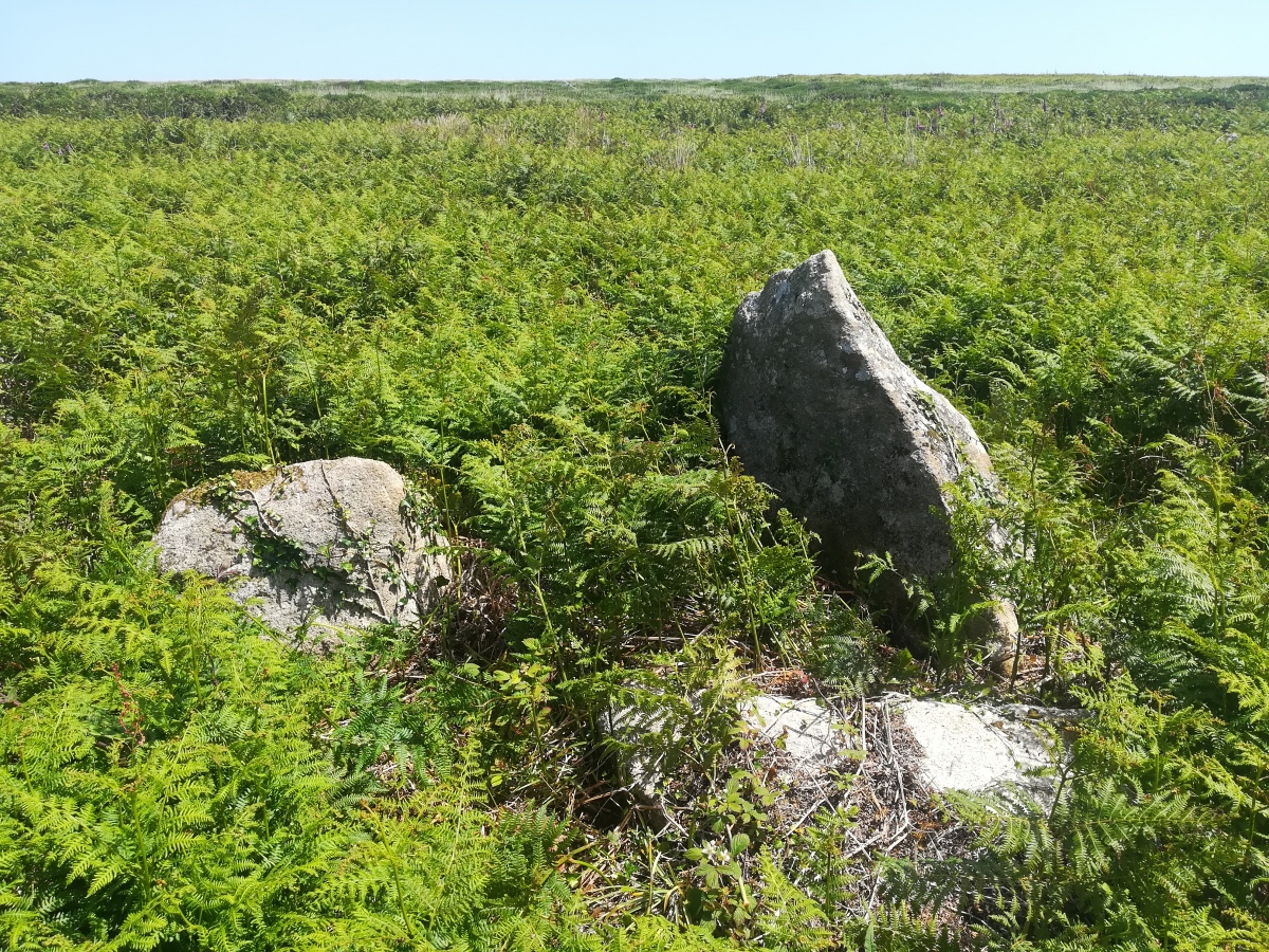 Treen Common Settlement