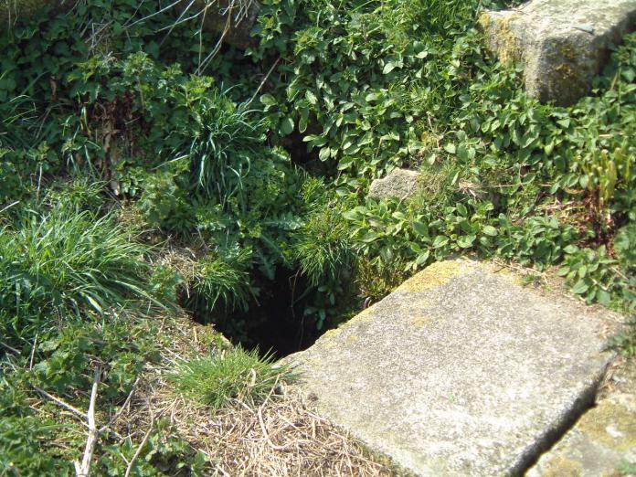 Click for the gallery page to add comments and vote (PID:6574) Tregaminion Holy Well
